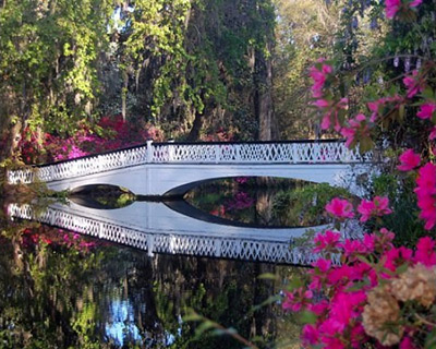 Bridge at Magnolia Plantation and Gardens
