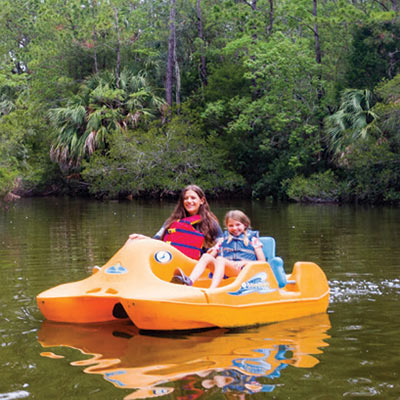 Palmetto Islands County Park, Mount Pleasant, SC