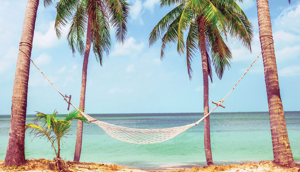 A hammock at the beach